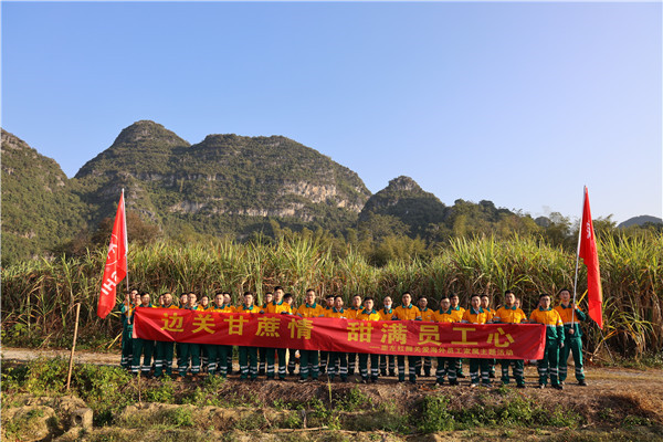 邊關(guān)甘蔗情，“甜”滿員工心—崇左紅獅助海外員工家屬收甘蔗